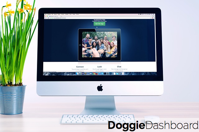 important parts for creating a dog daycare website