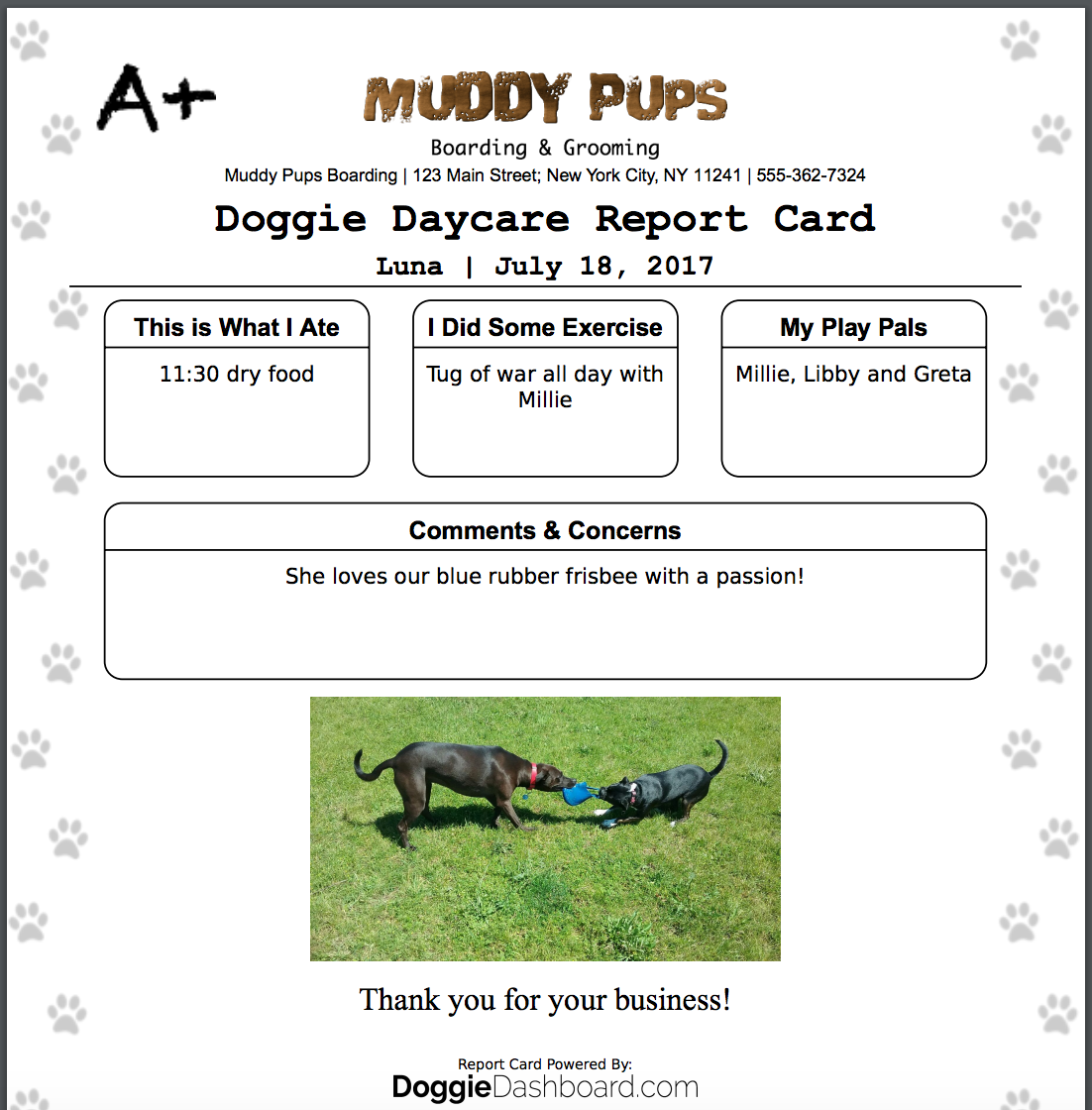 for daycare form application sample Daycare Dog  Software Kennel Free DoggieDashboard Boarding &